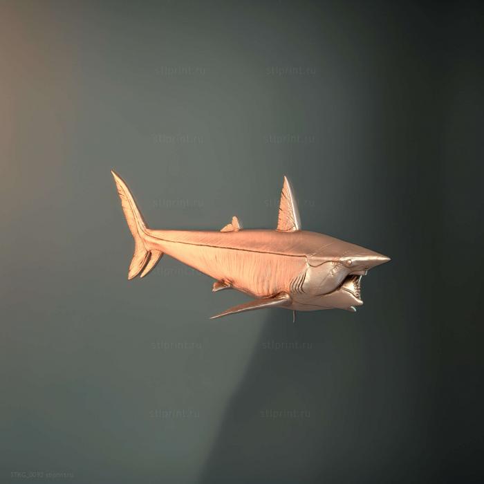 Геликоприон (Helicoprion Bessonowi) 1 35
