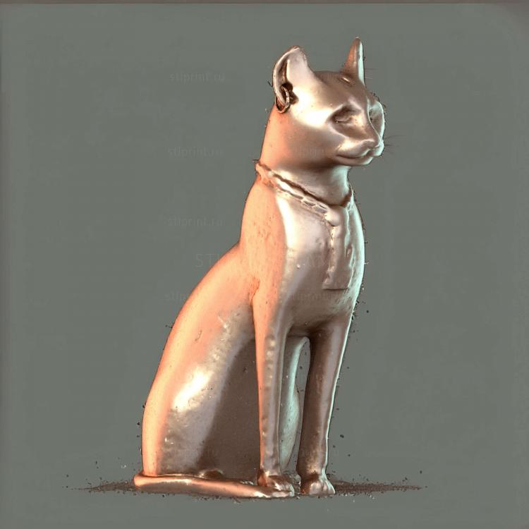 Прямой кот