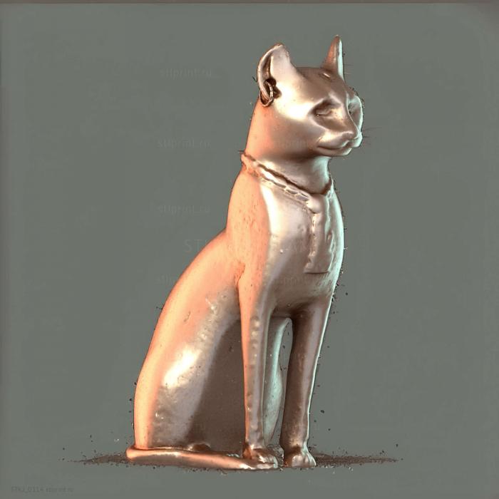 Прямой кот