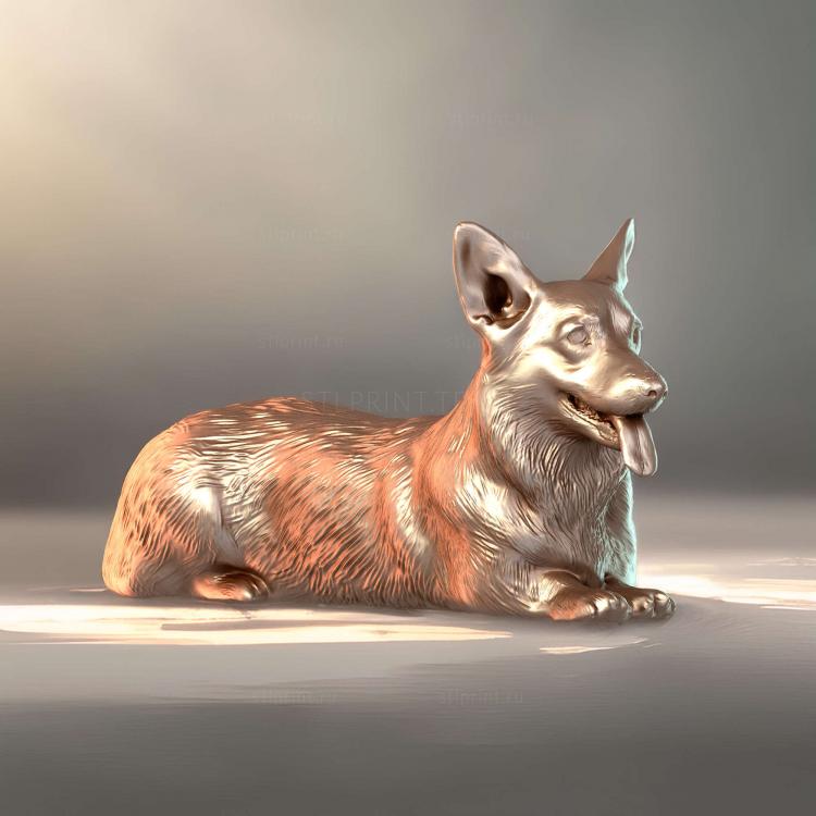 Лежащая собака Корги