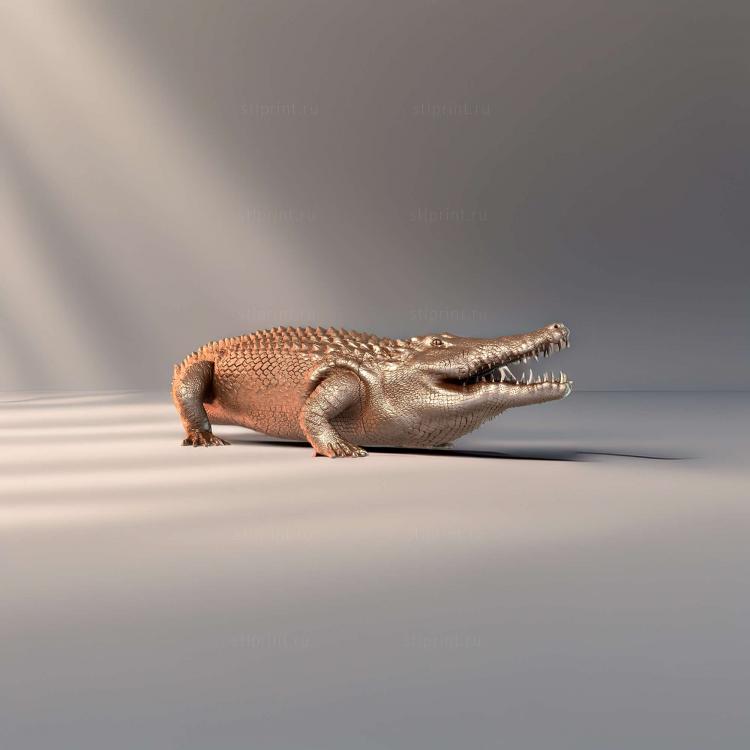 Крокодил