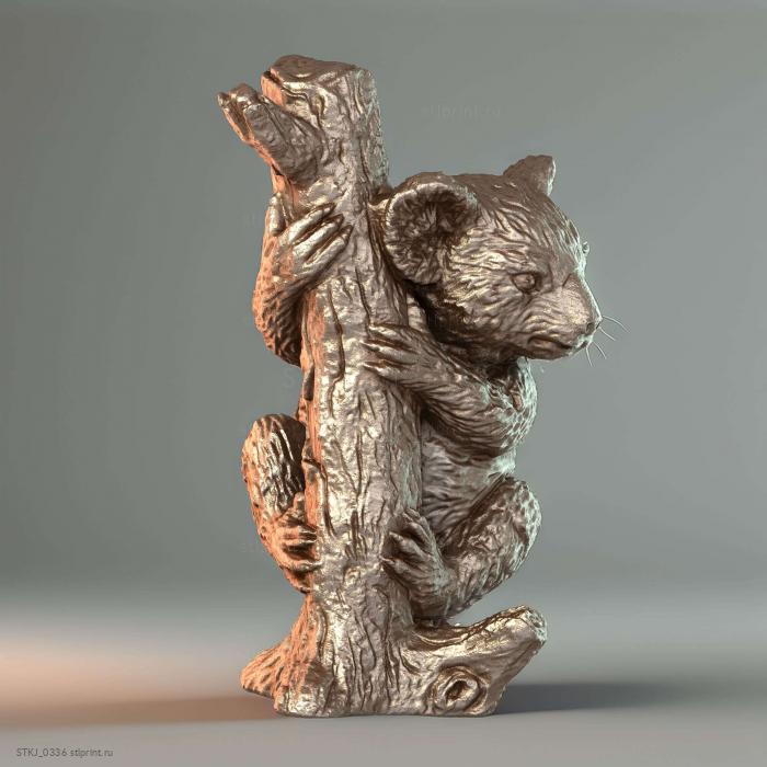 Медведь коала
