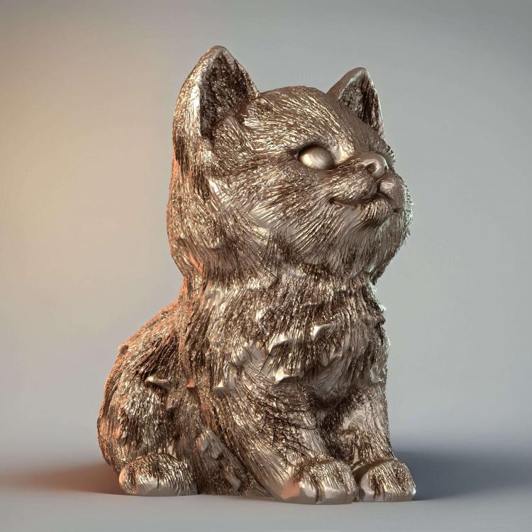 Кошка 9