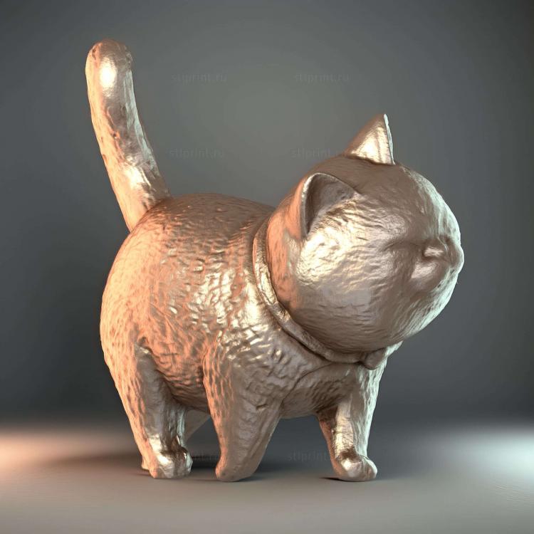 Кот