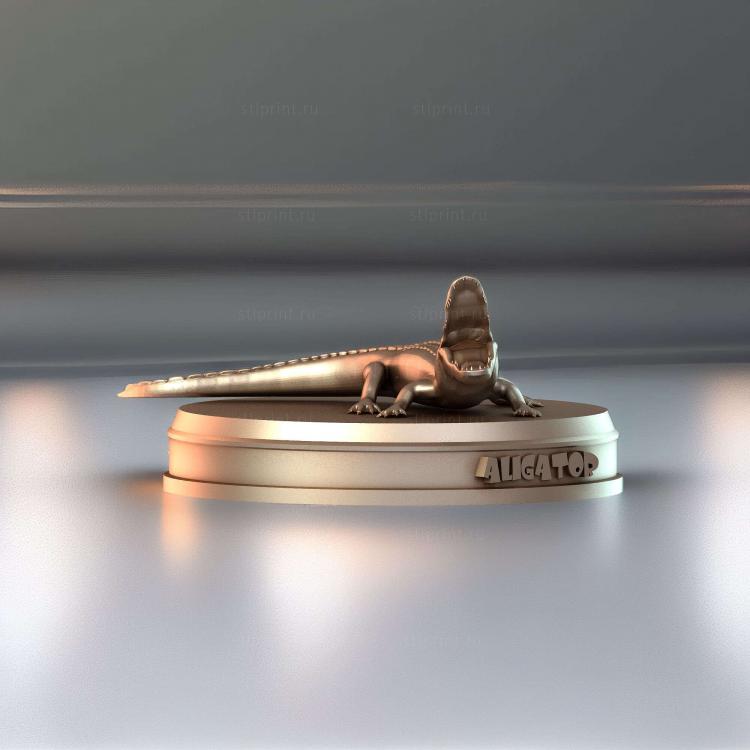 Аллигатор 01