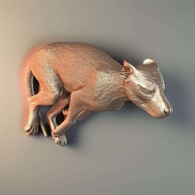 Детеныш Thylacinus Cynocephalus