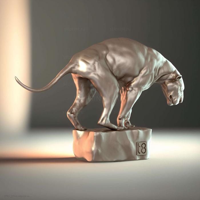 Большая Кошка 01