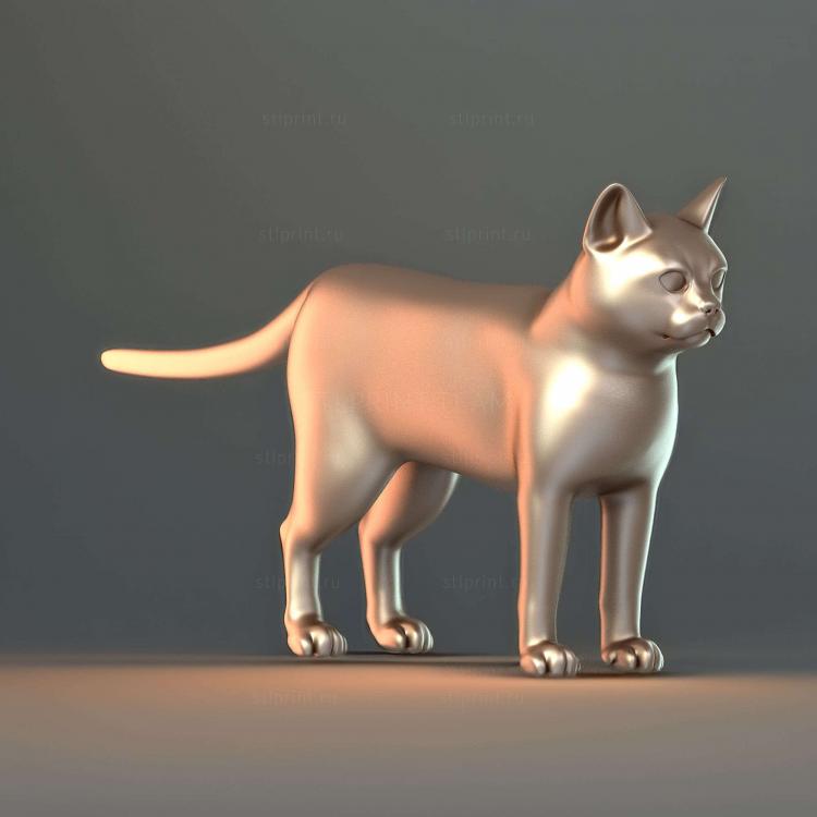 База Cat