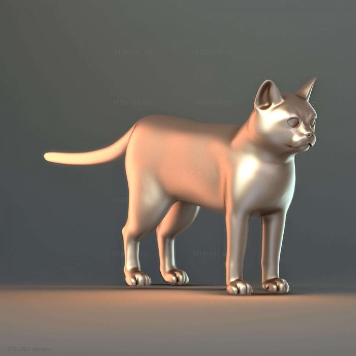 База Cat