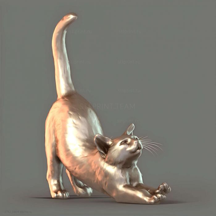 Кошачья Растяжка Уничтожена