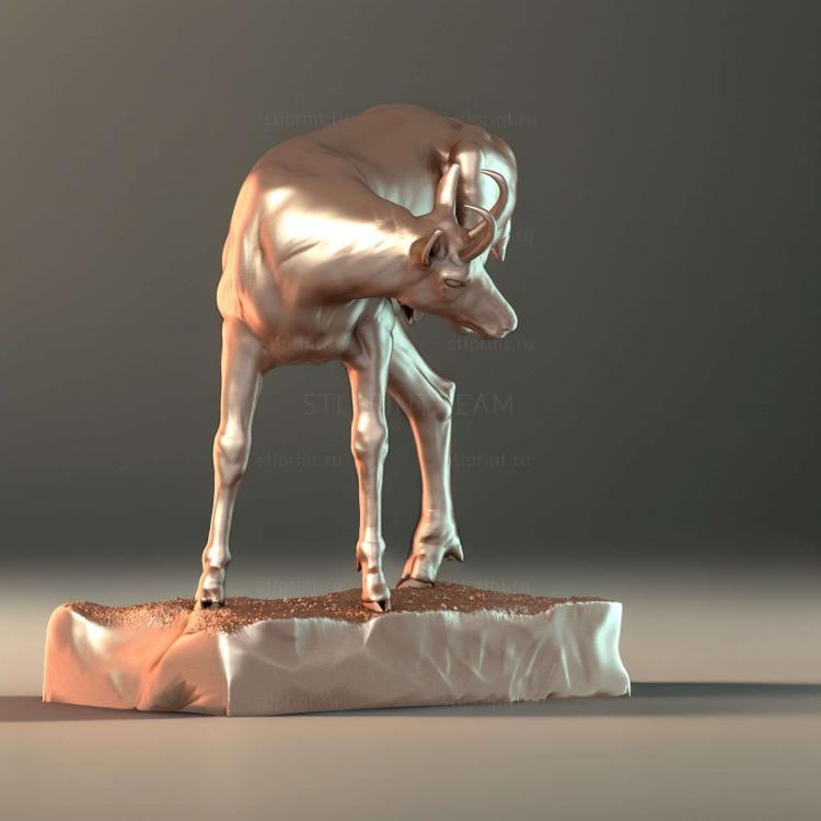 Замша 01