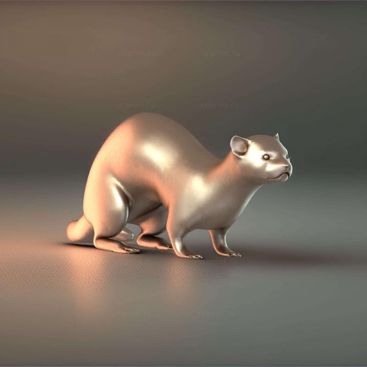 Хорек