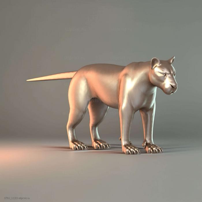 Львиная Большая Кошачья база