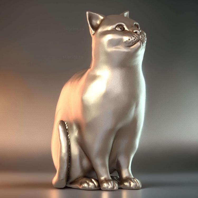 Шродинки Британская Короткошерстная Кошка, Сидящая в коробке 2