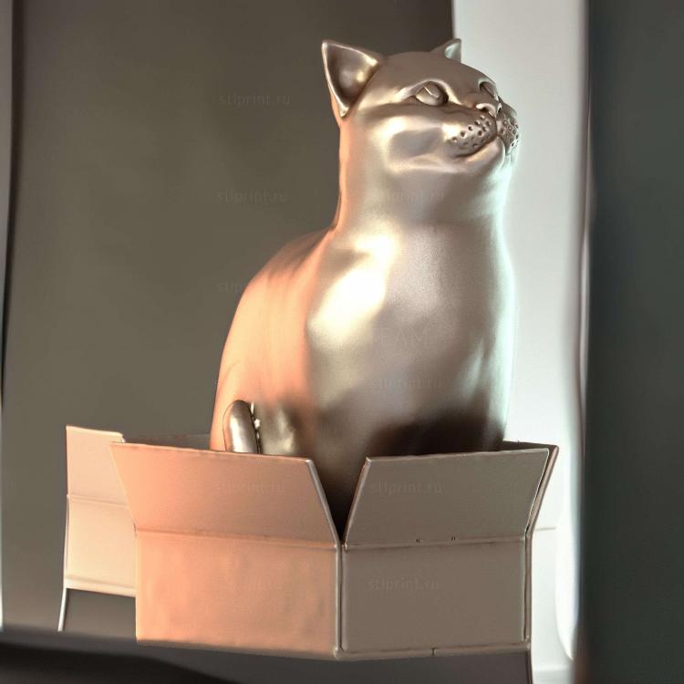 Шродинки Британская короткошерстная Кошка, Сидящая в коробке