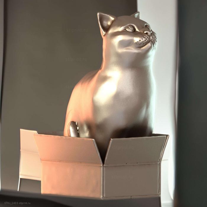 Шродинки Британская короткошерстная Кошка, Сидящая в коробке