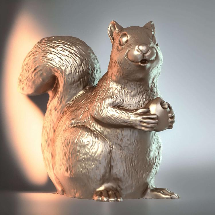 Squirrel116
