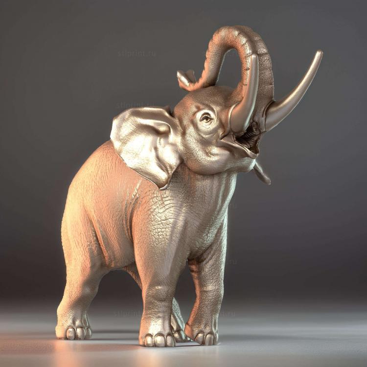 Elephant Stl
