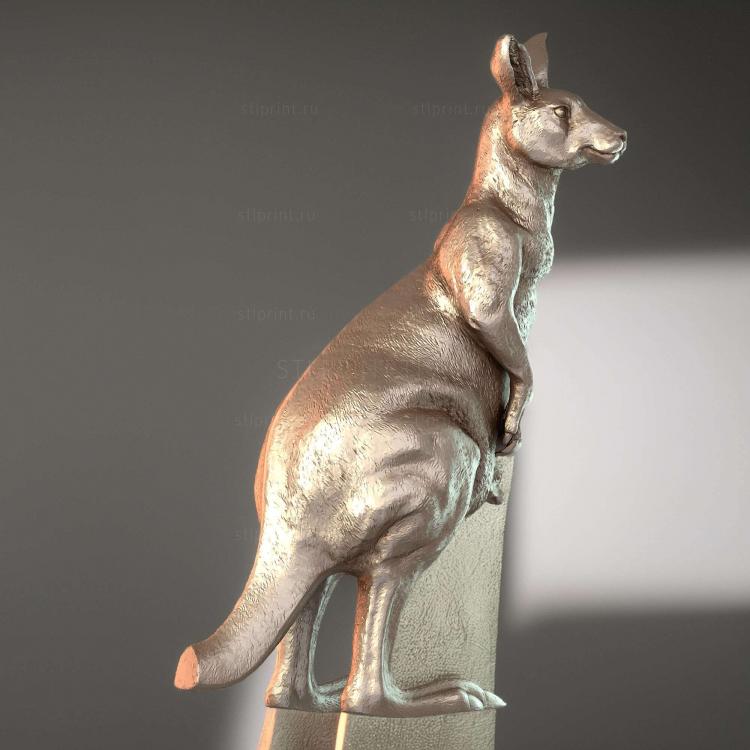 Kangkuru