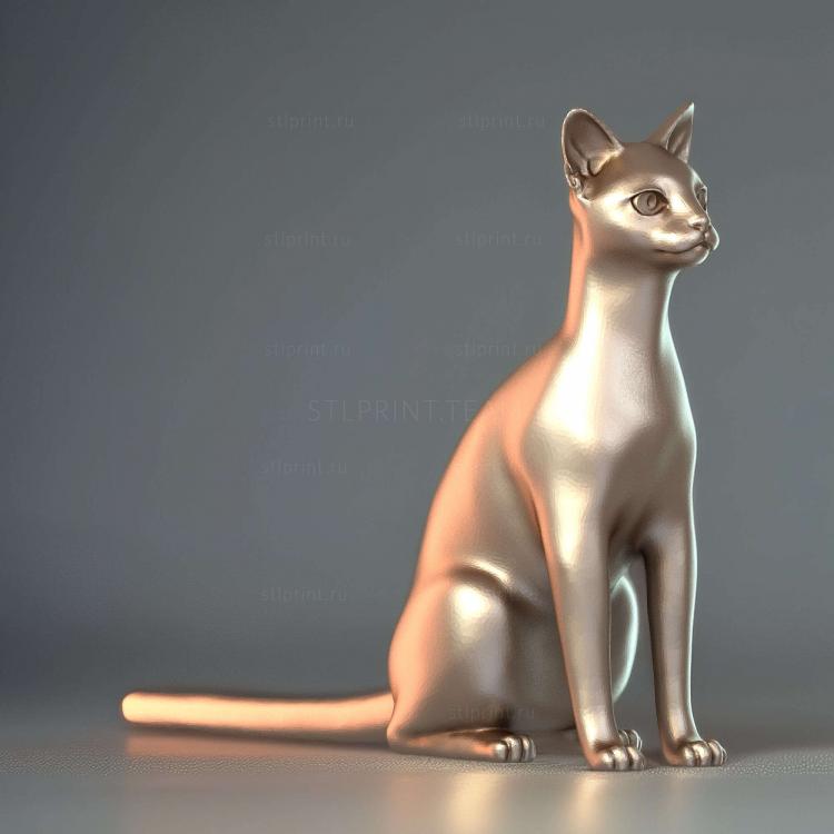 Абиссинская кошка