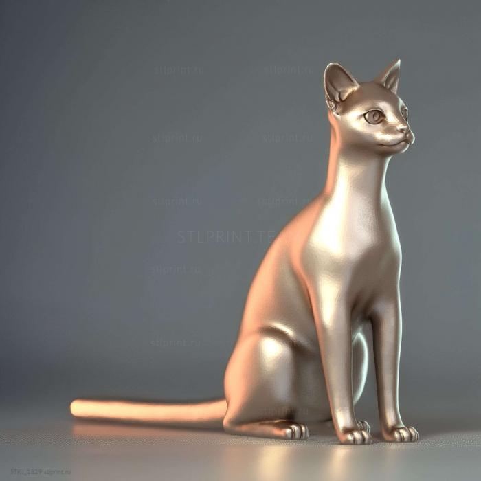 Абиссинская кошка