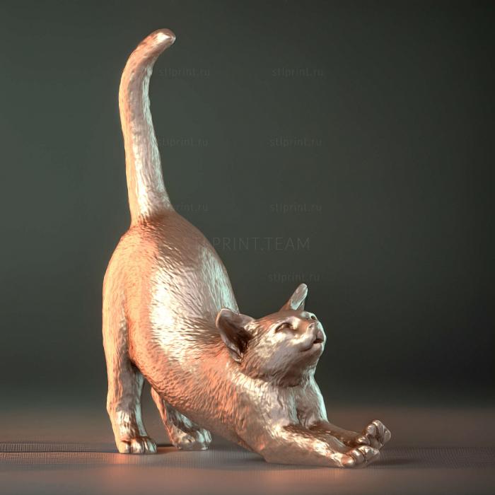 Кошачья Растяжка