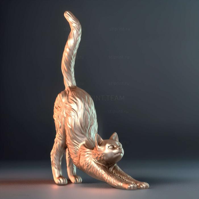 Кошачья растяжка