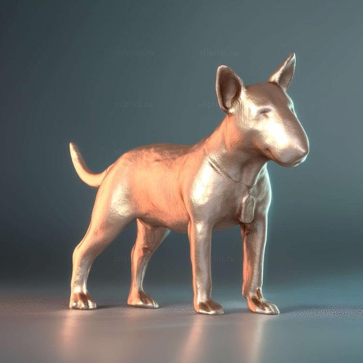 Chien