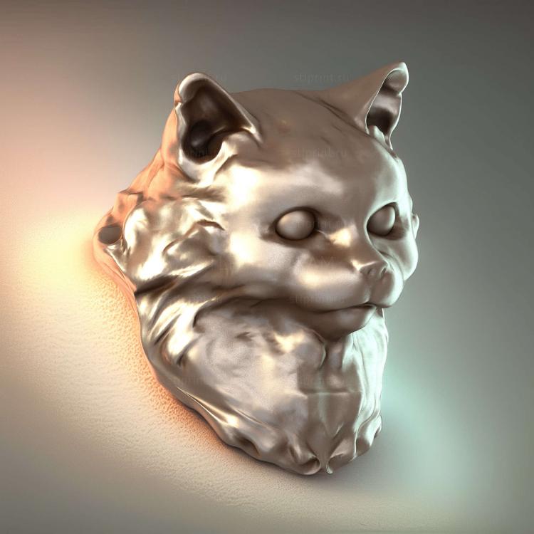 Кошка Долорес 2