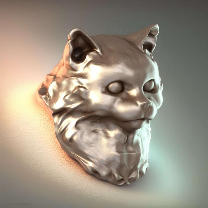 Кошка Долорес 2