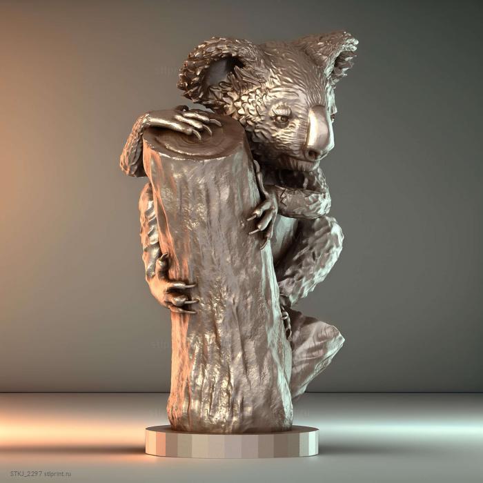 Коала 01 Животное