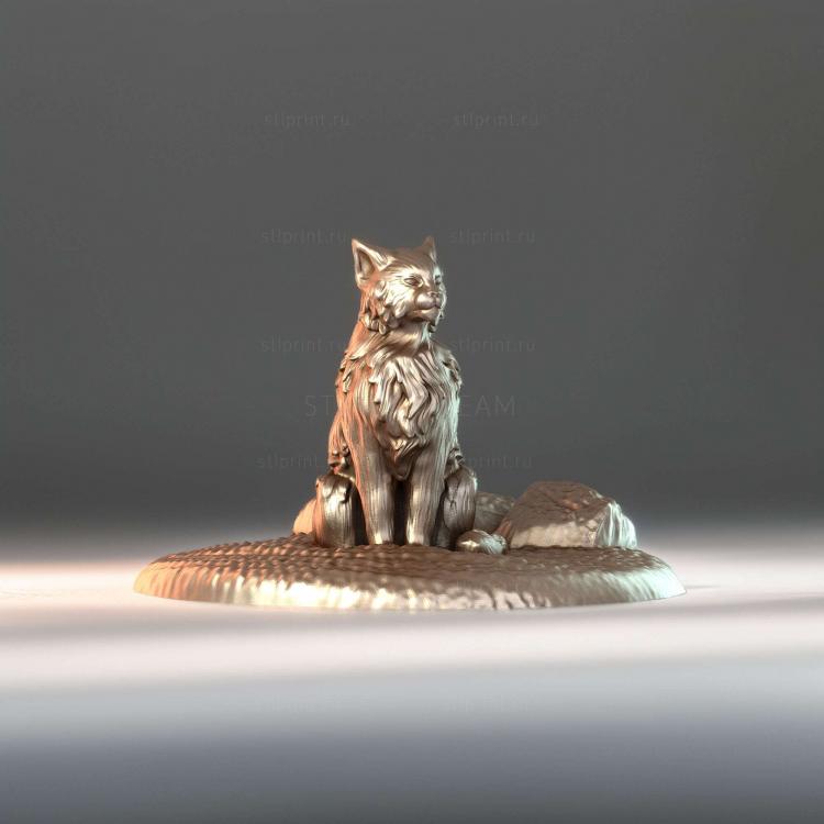 Кошачий Повседневный