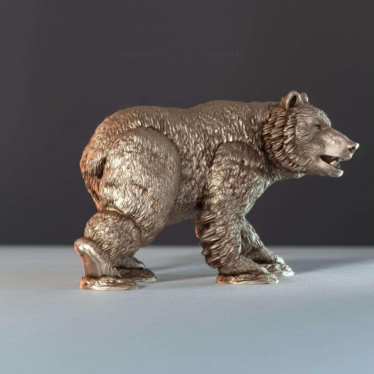 Медведи