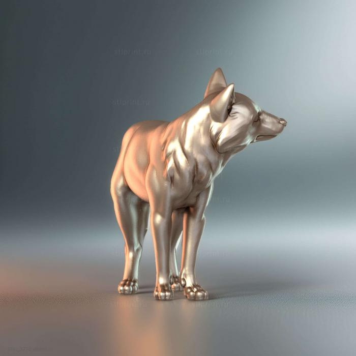 Рыжие Лисы Fox