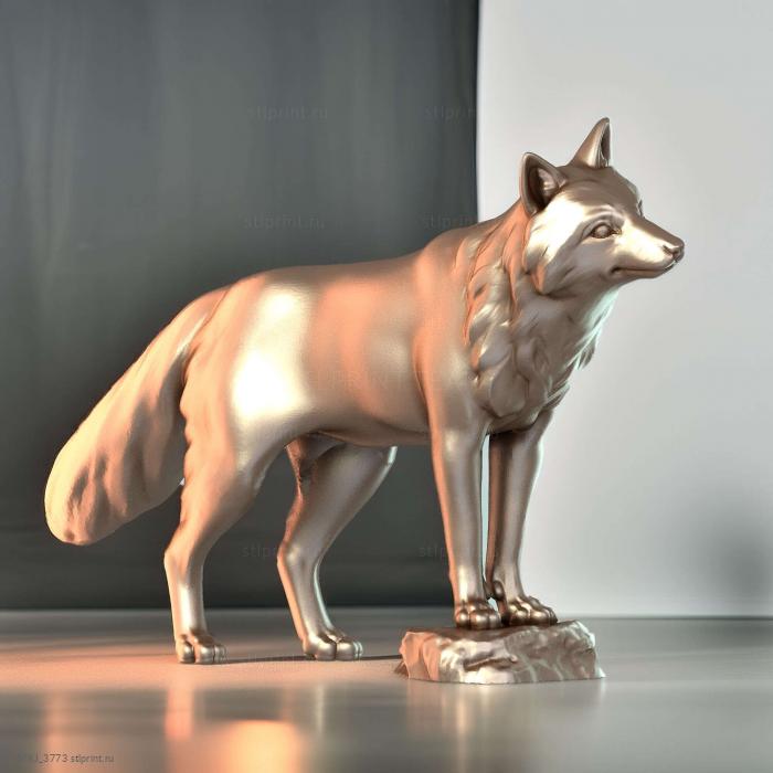 Рыжие Лисы Fox