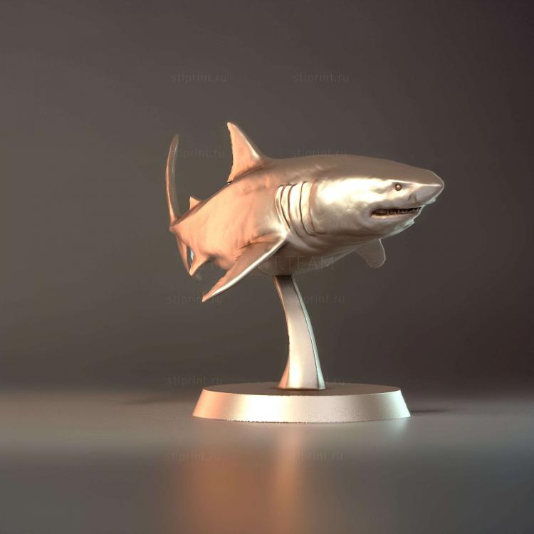 Глубоководные акулы shark