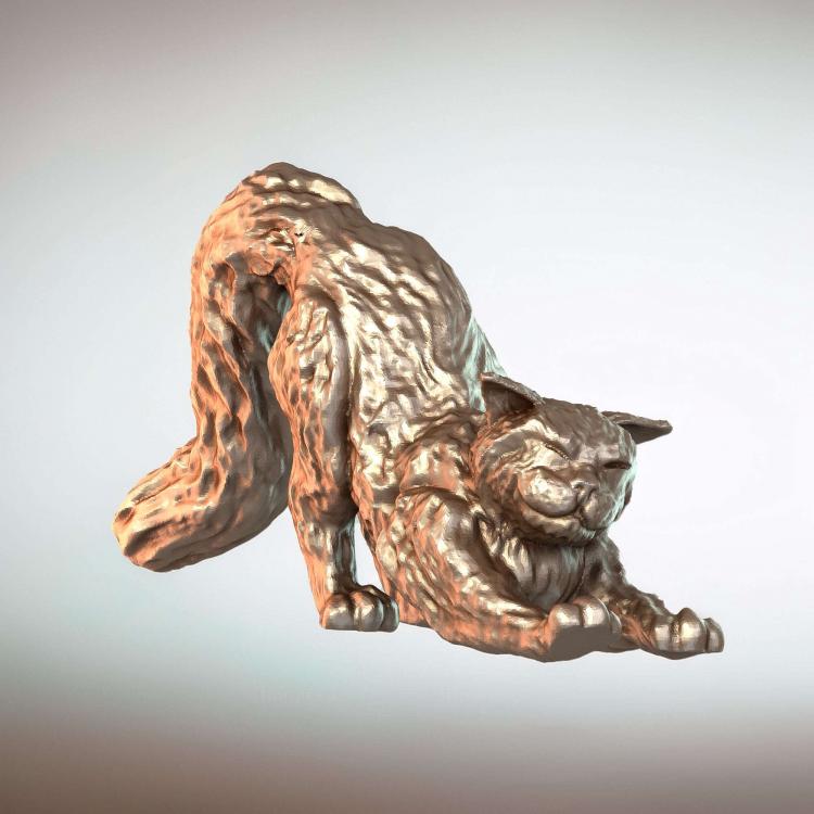 Кошки кошачья растяжка