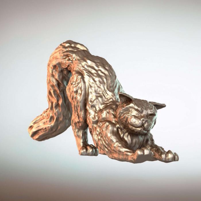Кошки кошачья растяжка