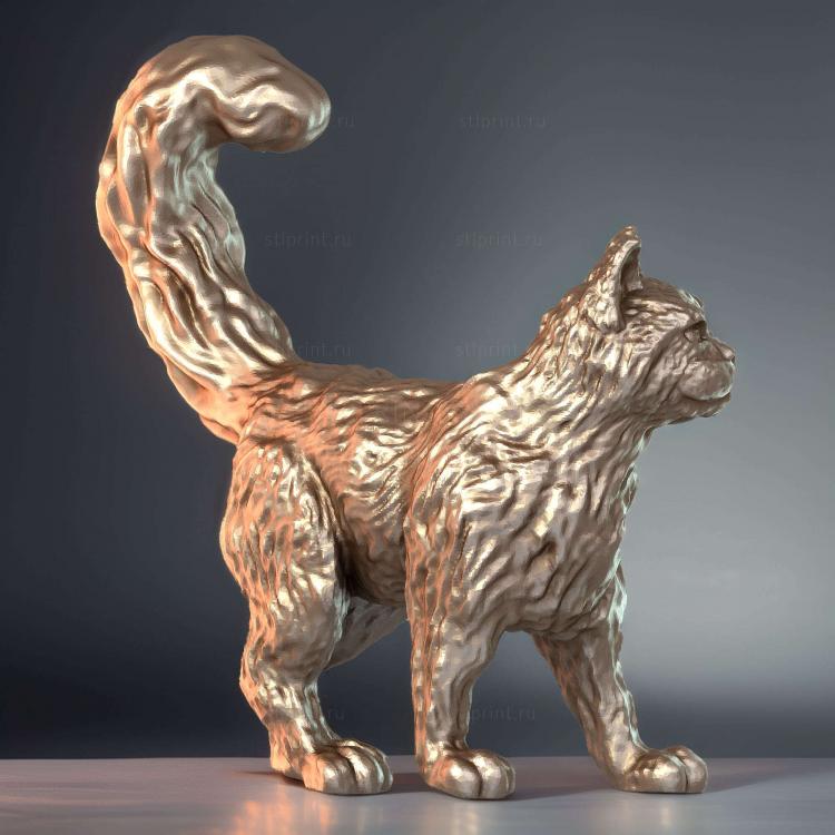 Кошки,гуляющие по кошкам