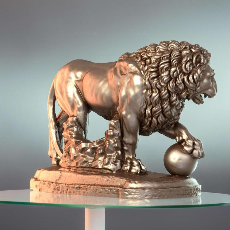 Lion3
