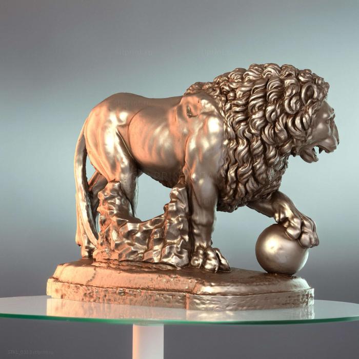 Lion3