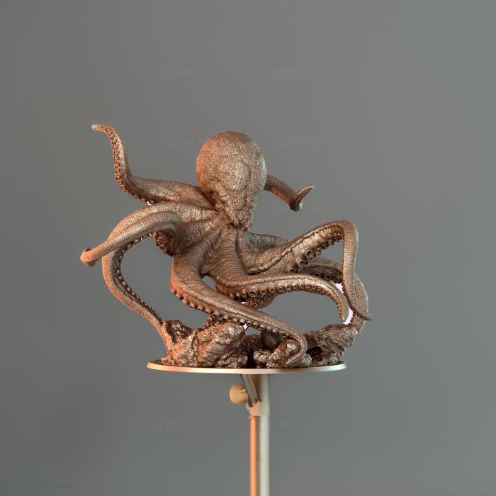Судно Kraken