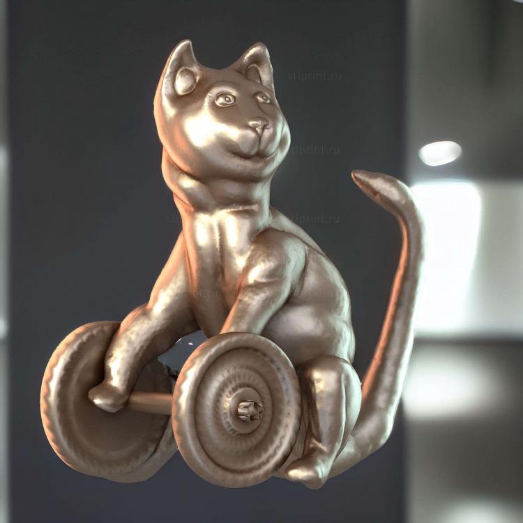 Кошка и гантель