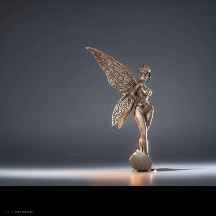 STKPR_3064