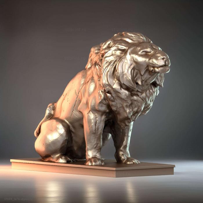 Король зодиака сикки