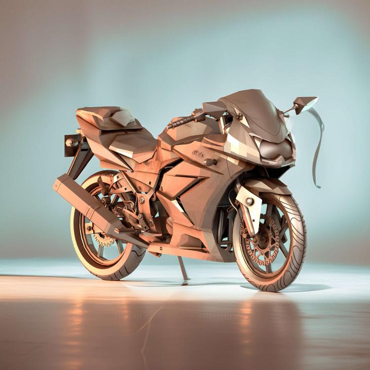 KAWASAKI NINJA corona