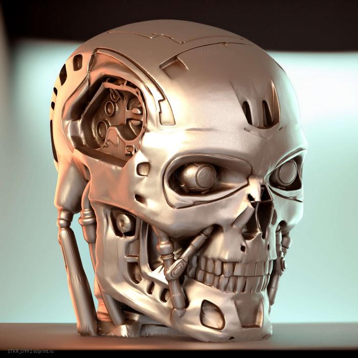 Эндоскул терминатора T800