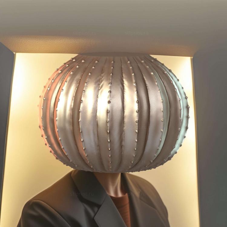 Кактус 3