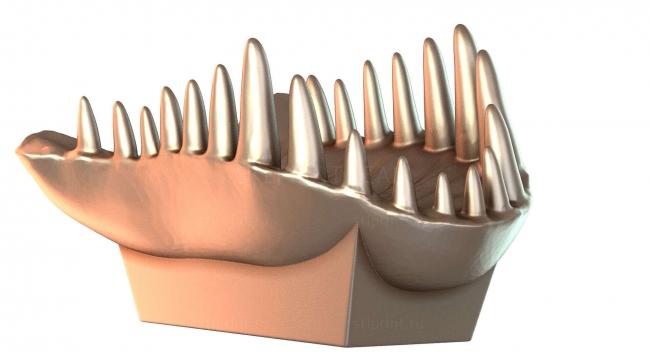 Mandibula Arriba