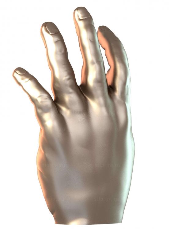 Mano Completa